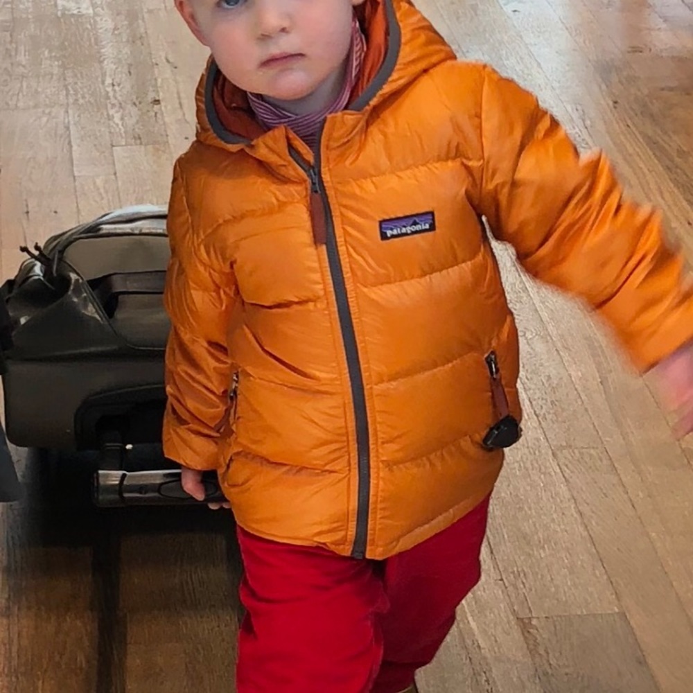 Patagonia Baby Hi-Loft Down Sweater Hoody. B or G